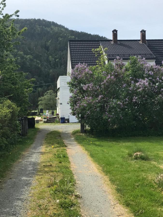 Dr Haave- Middle Of Nowhere, Pikevaerelset Sand  Luaran gambar